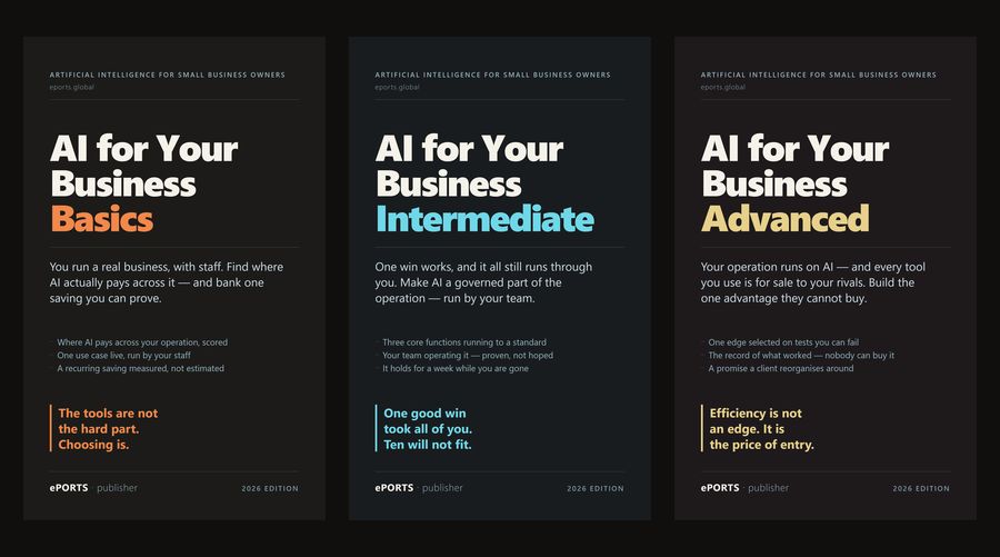 The AI for Your Business 3-book set