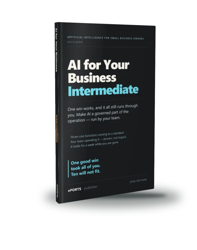 AI for Your Business Intermediate book