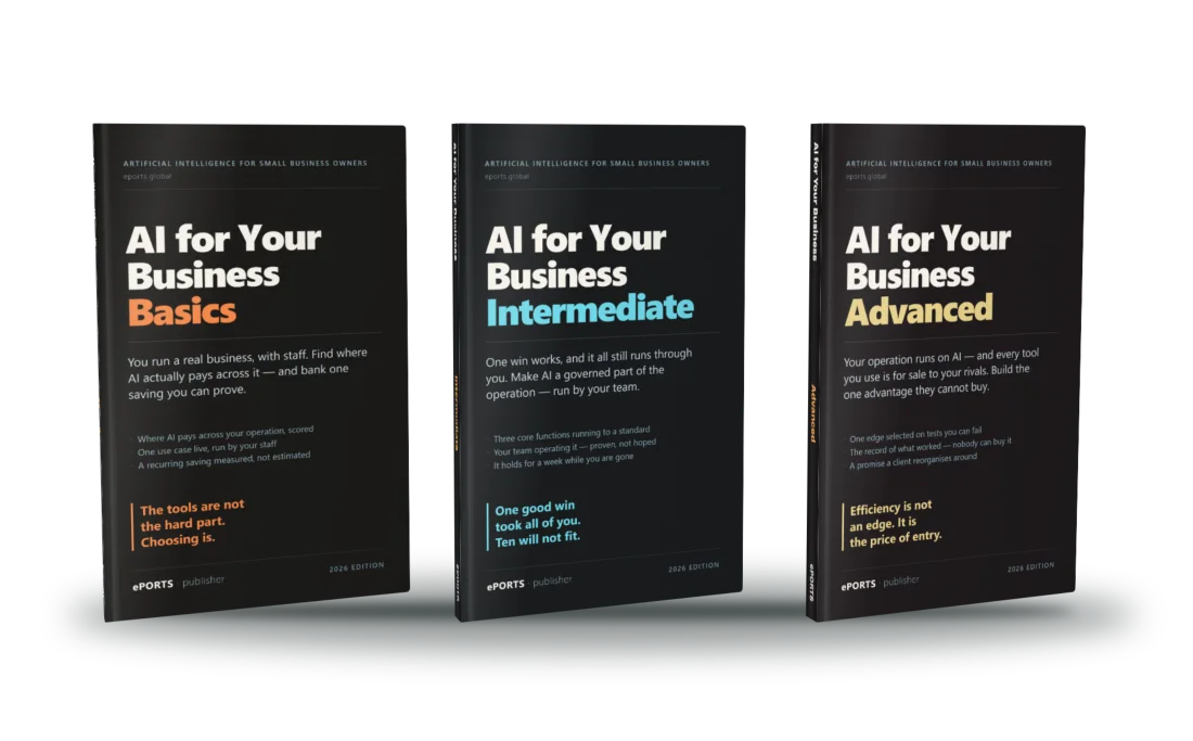 The three AI for Your Business books: Basics, Intermediate and Advanced