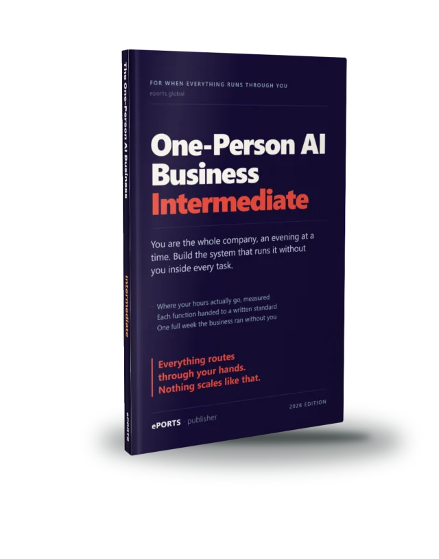 The One-Person AI Business Intermediate book