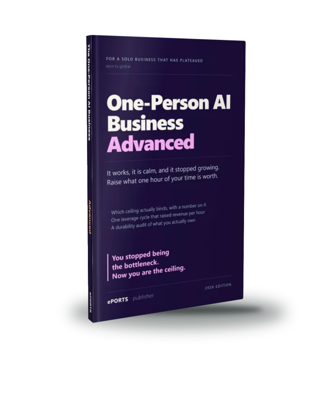 The One-Person AI Business Advanced book