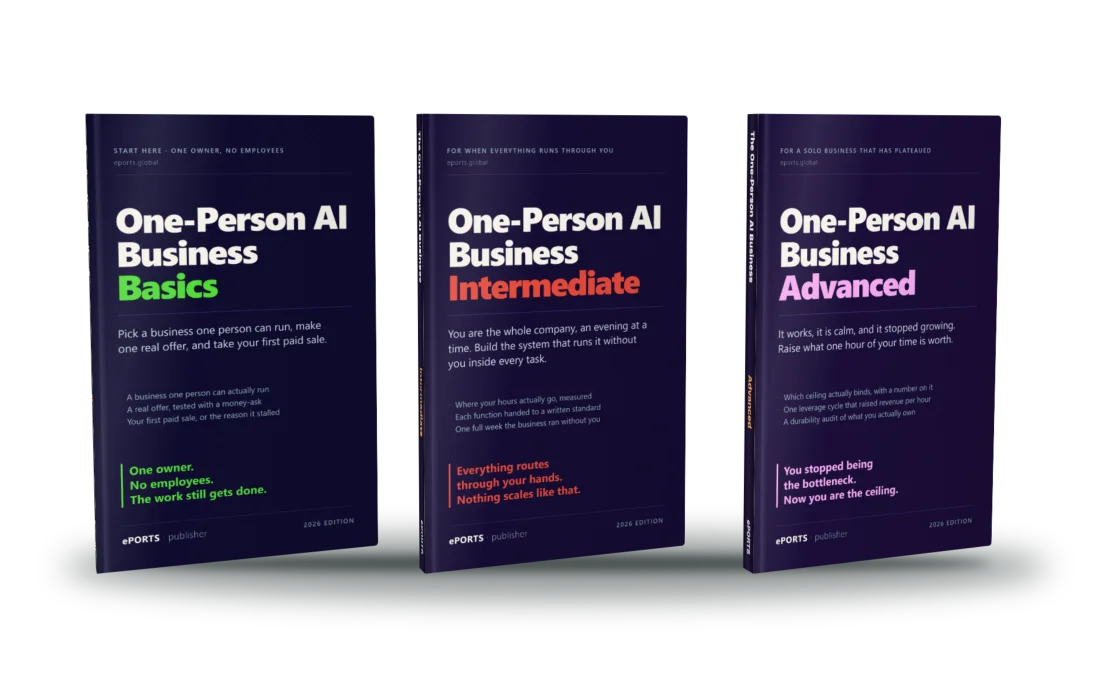 The three One-Person AI Business books: Basics, Intermediate and Advanced